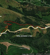 Korandakad Kurinji Bloom Trekking